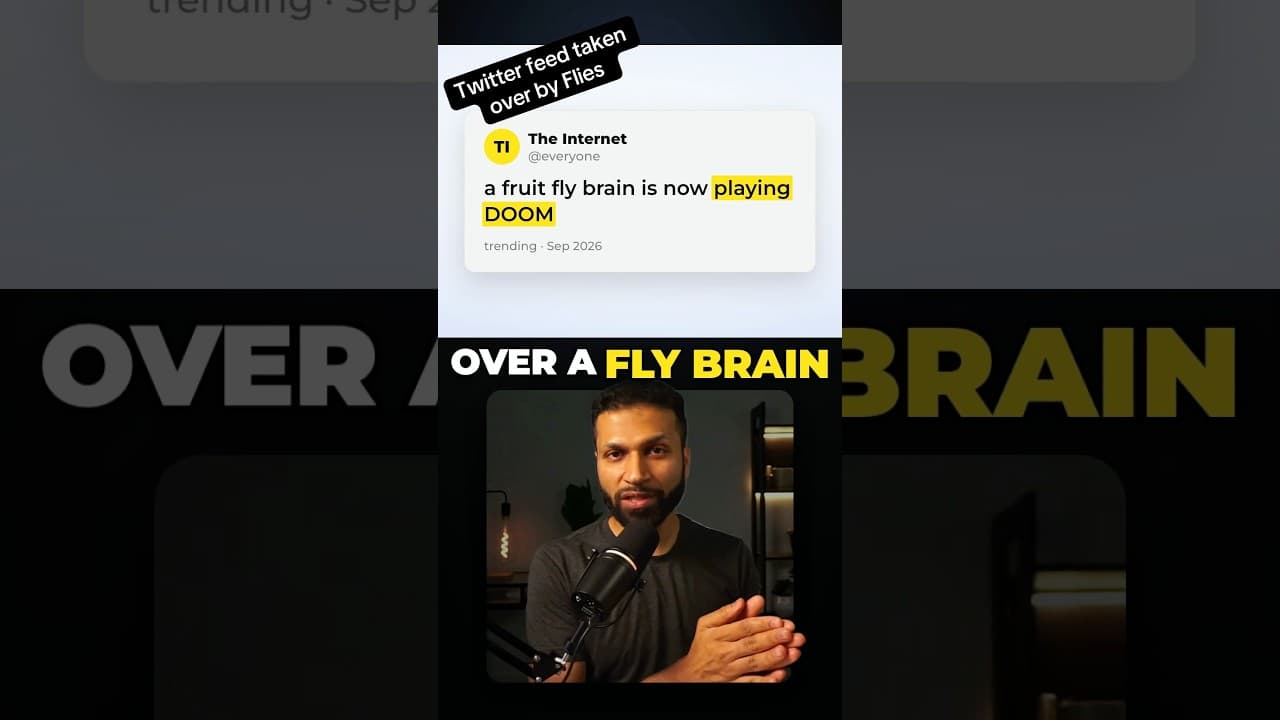 If you saw something about fly brain, you are not the only one! #flybrain #claude #codex
